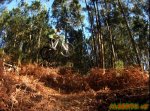 DSCF5374.jpg