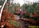 DSCF5390.jpg