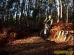 DSCF5379.jpg
