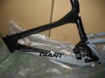 GIANT TRANCE 001.jpg