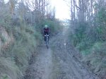 DSC00928.jpg