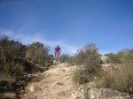 Foto59.JPG