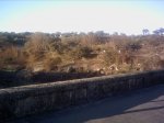 PICT0015.JPG