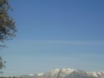 PICT0017.JPG