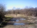 PICT0028.JPG