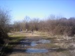 PICT0029.JPG