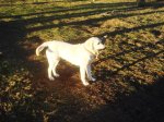 DSC08710.JPG