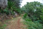 caboverde2005_0v70.jpg