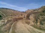 Elefantes1_21122008.jpg