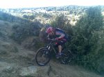 Elefantes4_21122008.jpg