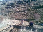 Elefantes8_21122008.jpg