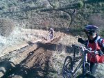 Elefantes9_21122008.jpg