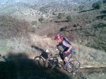 Elefantes10_21122008.jpg