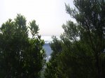 SV101764.jpg