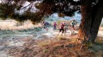 DSCF8861.JPG
