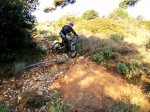 DSCF8875.JPG