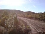 DSC00045.jpg