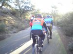 BICI44.jpg