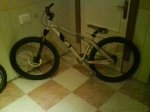 orbea pellejo 2.jpg