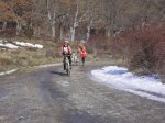 BICI50.jpg