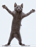 graciosas_24351.gif