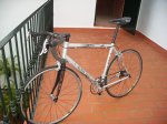 orbea2.jpg
