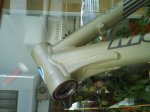 DSC00845.jpg