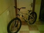orbea pellejo.jpg