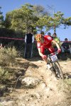 20081221_1467 Open DN en Estella.jpg