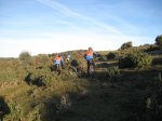 IMG_4288.jpg