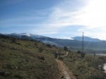 IMG_4295.jpg