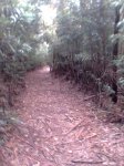 Imagen005.jpg