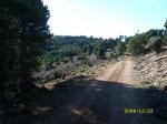 SL270347.jpg