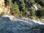 SL270363.jpg