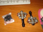 DSC01781.jpg