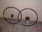 DSC04396.jpg