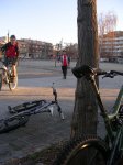 DSCN9906.JPG