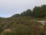 Imagen010.jpg