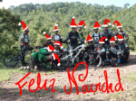 navida.gif