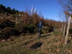 2008-12-24 Oiz52.jpg