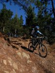 2008-12-24 Oiz84.jpg