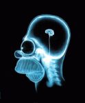 radiografia.gif