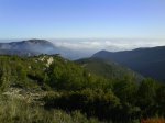 DSC02049.jpg