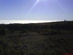 DSC02054.jpg