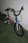 img7445copiabp6.jpg