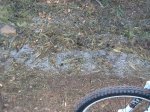 che q plou 020.jpg