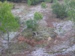 che q plou 022.jpg