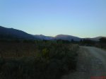 DSC02039.jpg