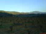 DSC02040.jpg
