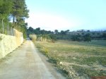 DSC02042.jpg